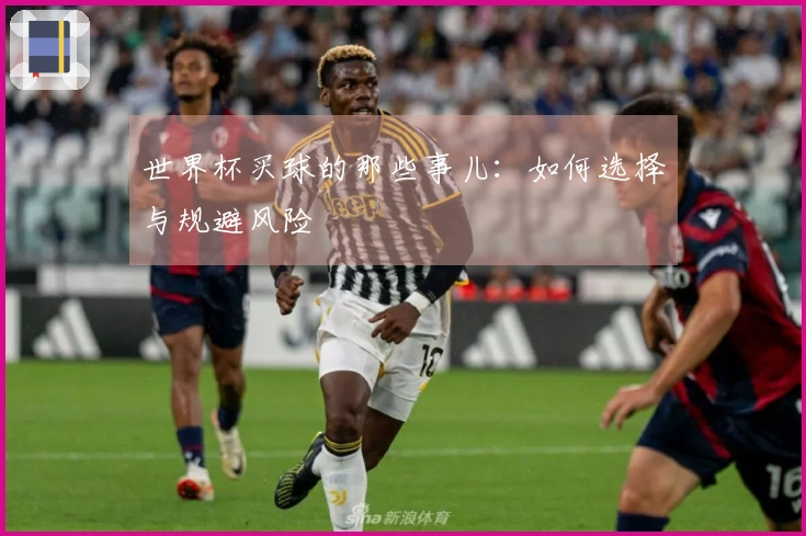 世界杯买球的那些事儿：如何选择与规避风险