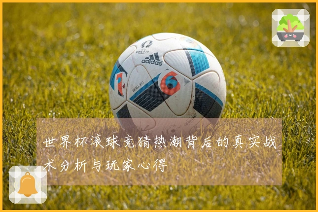 世界杯滚球竞猜热潮背后的真实战术分析与玩家心得