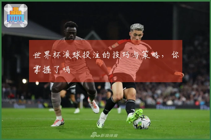 世界杯滚球投注的技巧与策略，你掌握了吗